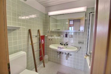 Aux pieds des pistes "Location hebdomadaire`"été