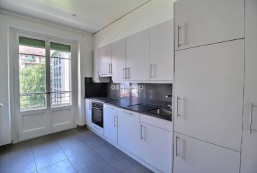 Magnifique Appartement proche du lac