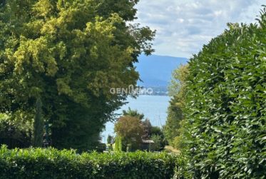 EXCLUSIVITÉ VUE LAC A LOUER