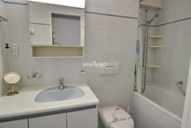 "Vue Lac et Campagne"