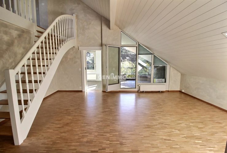 EXCLUSIVITE - Charmant duplex villageois