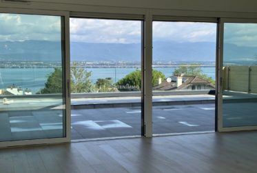 Appartement avec vue panoramique sur le Lac