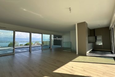 Vue panoramique sur le Lac