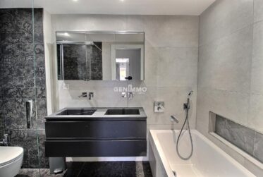 Appartement traversant avec magnifique vue lac