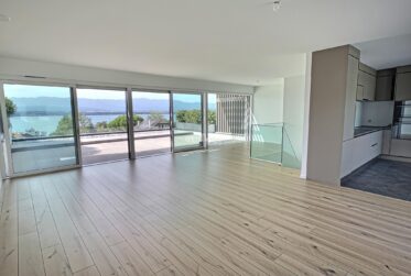 A Louer triplex avec magnifique vue lac !